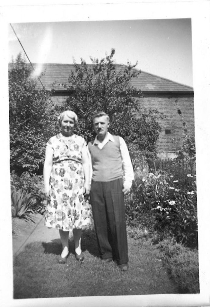 The back garden at 'Number 4'